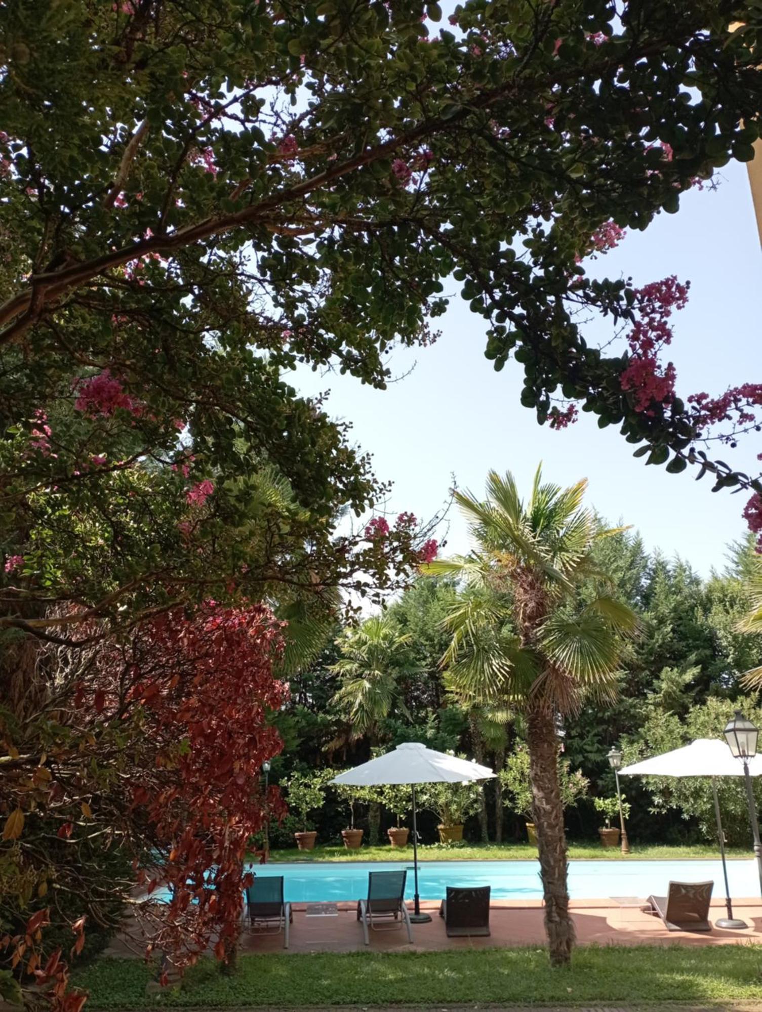 Delle Palme Carpi