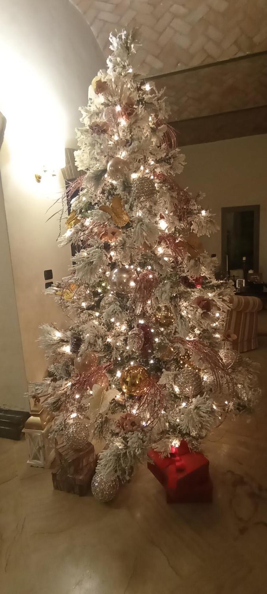 Delle Palme 3*