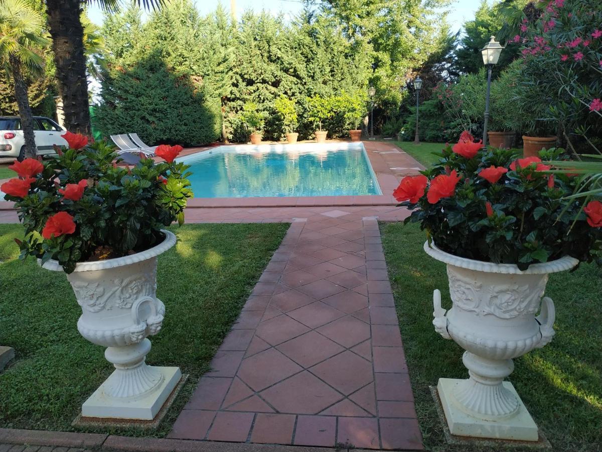Delle Palme Carpi