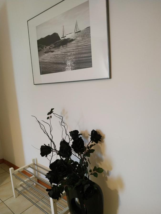 Delle Palme 3* Carpi